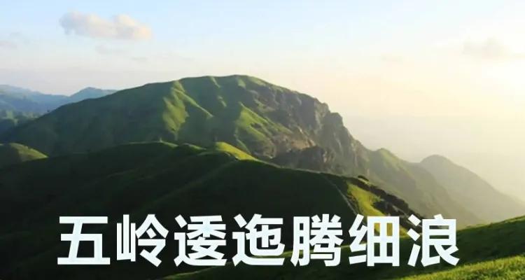 毛公勇摘诗坛之冠：打破前代诗人的无力感无助感无奈感