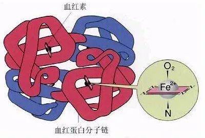 问答｜有病没病，看看月经的颜色，你是什么色？
