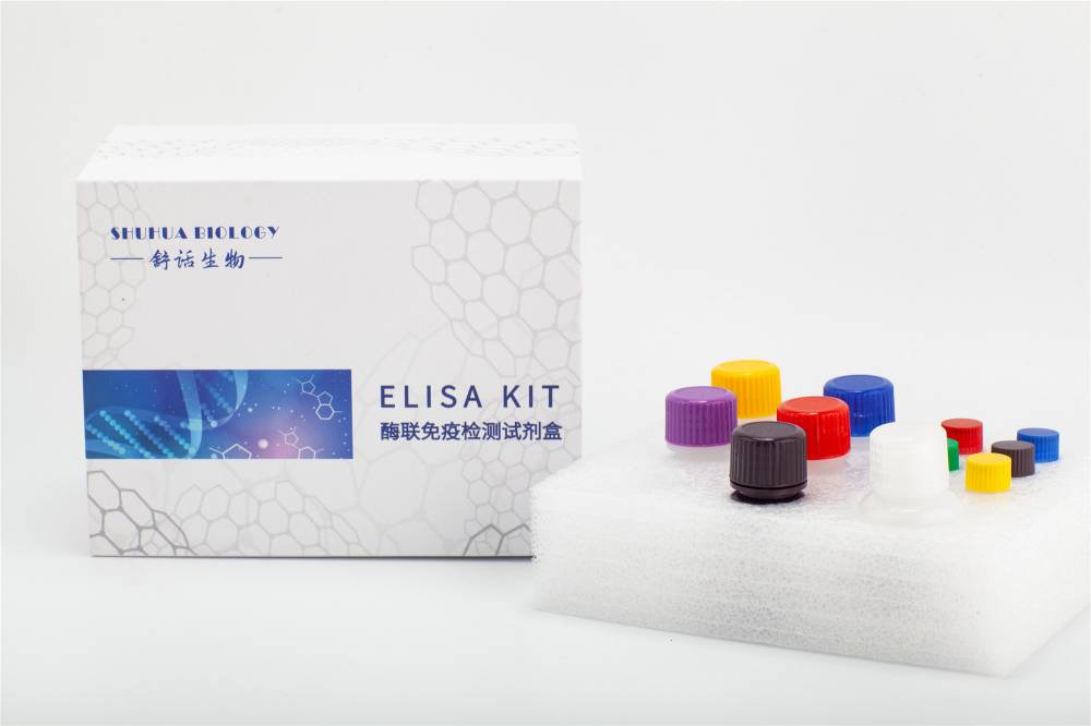 人（Human）广州管圆线虫IgG抗体（AC-IgG） ELISA检测试剂盒