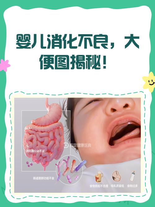 大便图里藏玄机