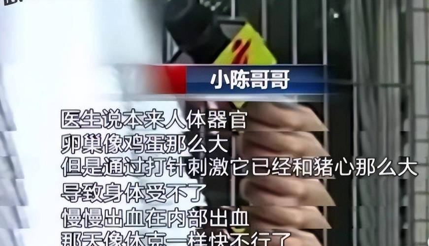 卵子非法买卖学历颜值高价格就高，医生：存生命危险
