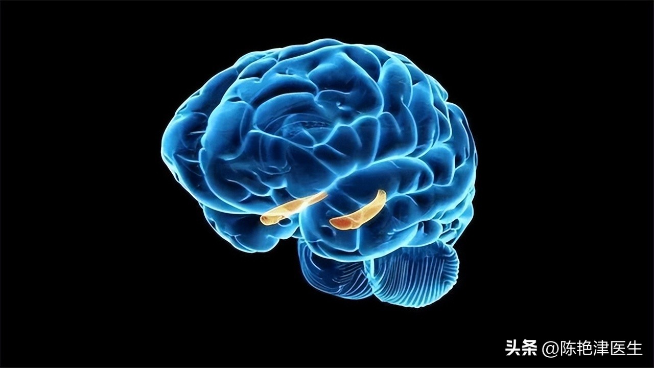 每吃一次，大脑萎缩就快一步？这5种食物是大脑老化的“加速器”