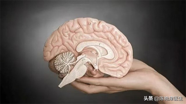 每吃一次，大脑萎缩就快一步？这5种食物是大脑老化的“加速器”