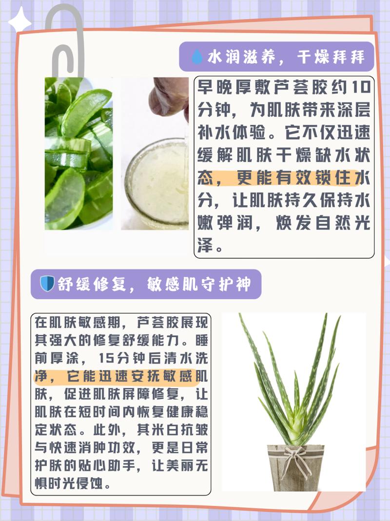 把芦荟胶搽在脸上需要避光避看紫外线吗_白玉兰如何水培