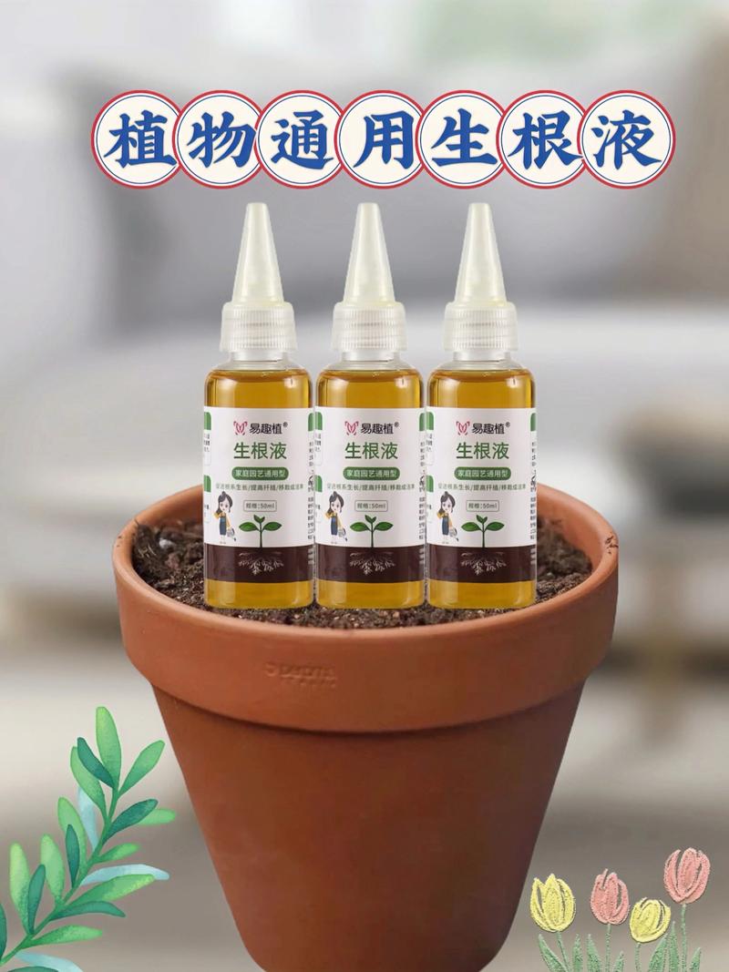 植物界的“长生不老药”？快速生根液的科学真相与高效应用指南