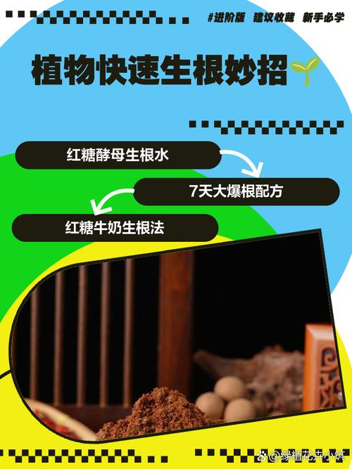 植物界的“长生不老药”？快速生根液的科学真相与高效应用指南