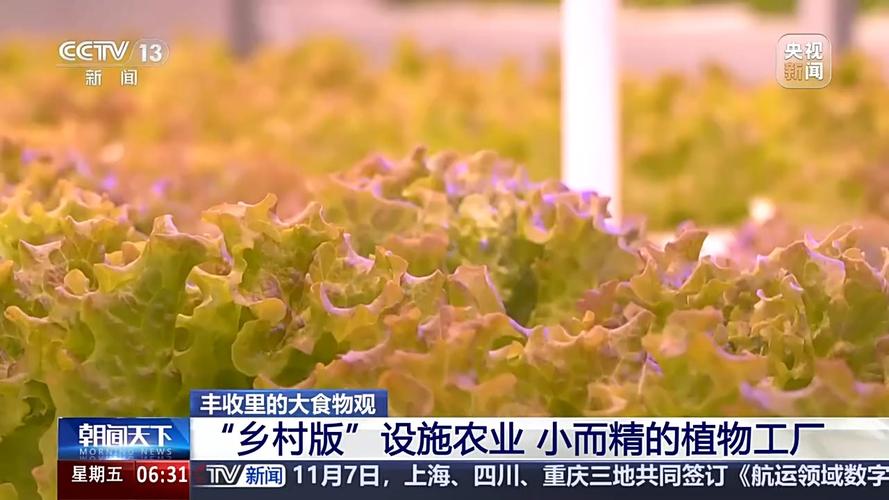 必看！稀土的10个农业“黑科技”，第5个让专家都跌破眼镜
