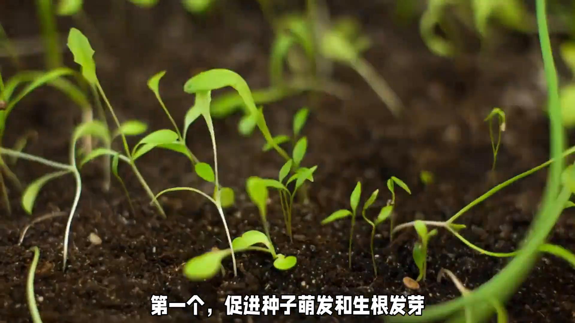 必看！稀土的10个农业“黑科技”，第5个让专家都跌破眼镜