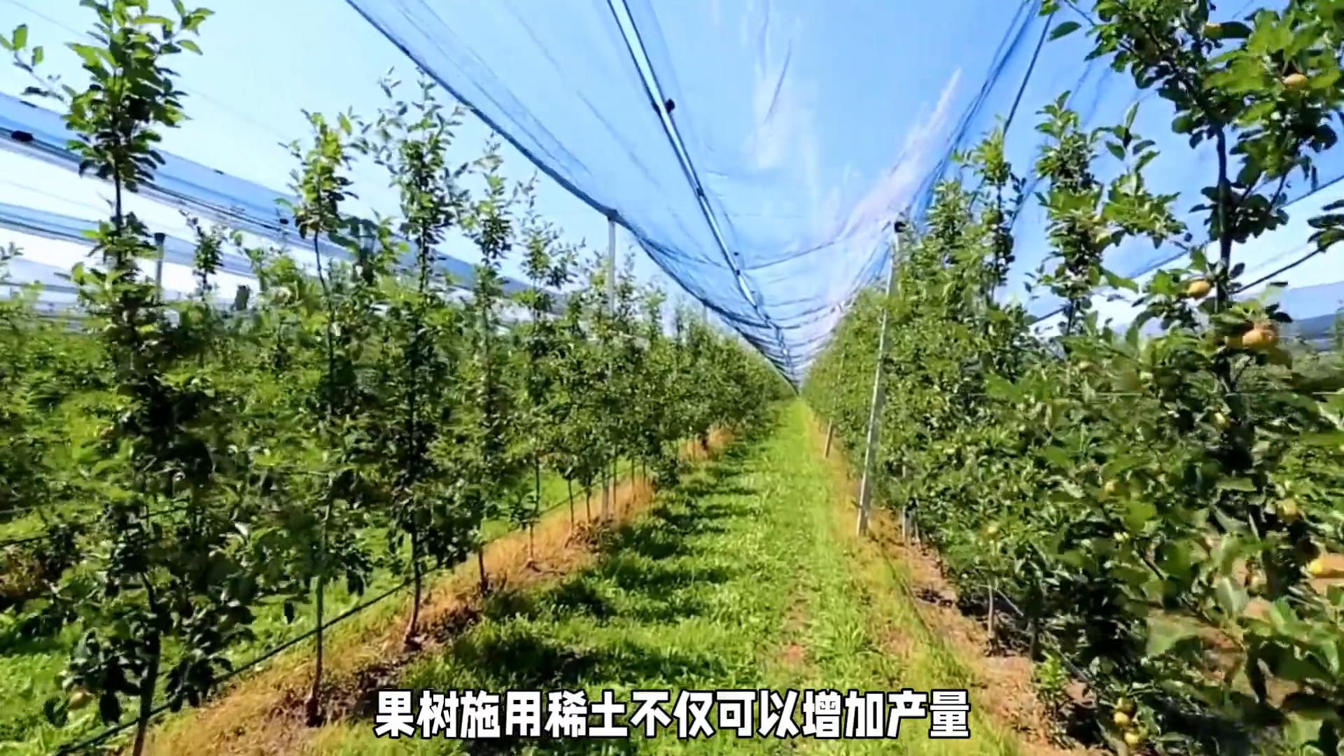 必看！稀土的10个农业“黑科技”，第5个让专家都跌破眼镜