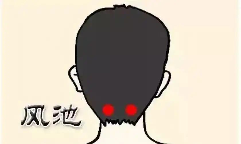 头发变白，原来是这里出了毛病！中医的养发方法奉上，让白发晚点来