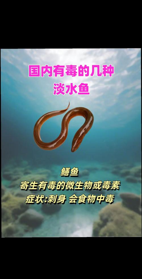 淡水鱼不能生吃！过嘴瘾先要防寄生虫