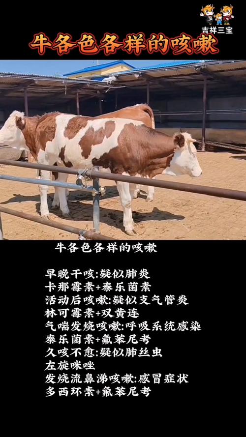 教你三招，治好牛肺炎