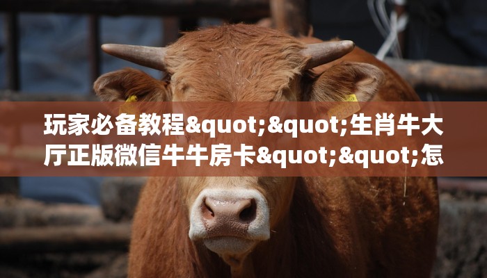 玩家必备教程""生肖牛大厅正版微信牛牛房卡""怎么弄房卡"详细步骤分享！！！