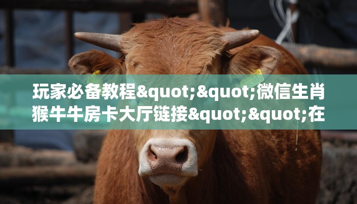 玩家必备教程""微信全游牛牛房卡大厅链接怎么买”详细房卡怎么购买教程
