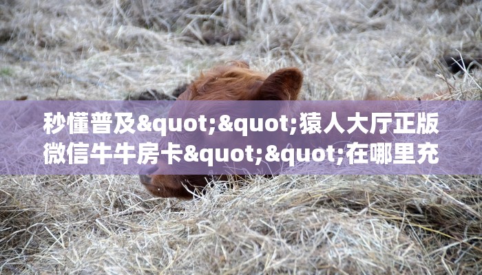 秒懂普及""猿人大厅正版微信牛牛房卡""在哪里充值/房卡100张多少钱