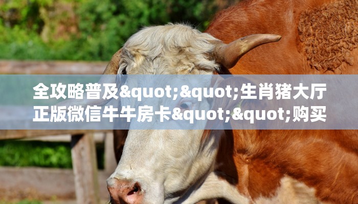 全攻略普及""生肖猪大厅正版微信牛牛房卡""购买渠道！房卡充值详细教程