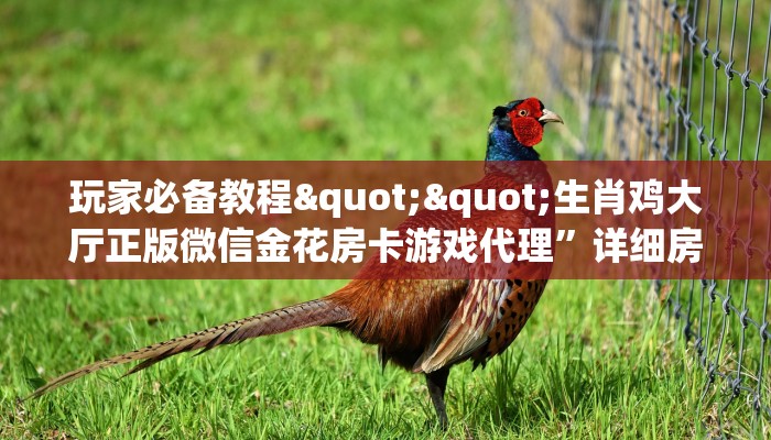 玩家必看""永和备厅大厅房卡怎么弄/红豆大厅房卡""购买联系方式"房卡充值教程-知乎 玩家必看""永和备厅大厅房卡怎么弄/红豆大厅房卡""购买联系方式"房卡充值教程-知乎