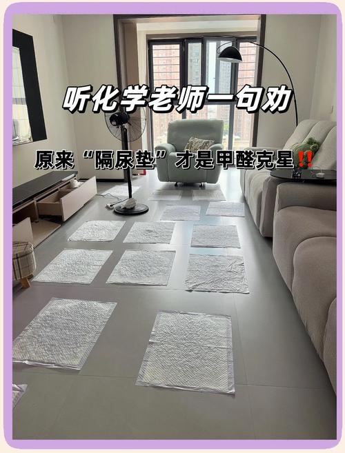 多肉、活性炭能吸收甲醛？除甲醛是交“智商税”吗？这些误区要注意