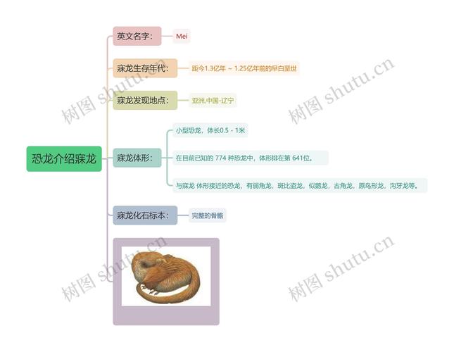 《恐龙无处不在》运用大约、大量、逐渐等限制性词语，体现了说明语方的准确性；但也不乏生动性的例子，如”板块背上驮着许多大陆“就运和了比喻的修辞，使语方更生动形象（）