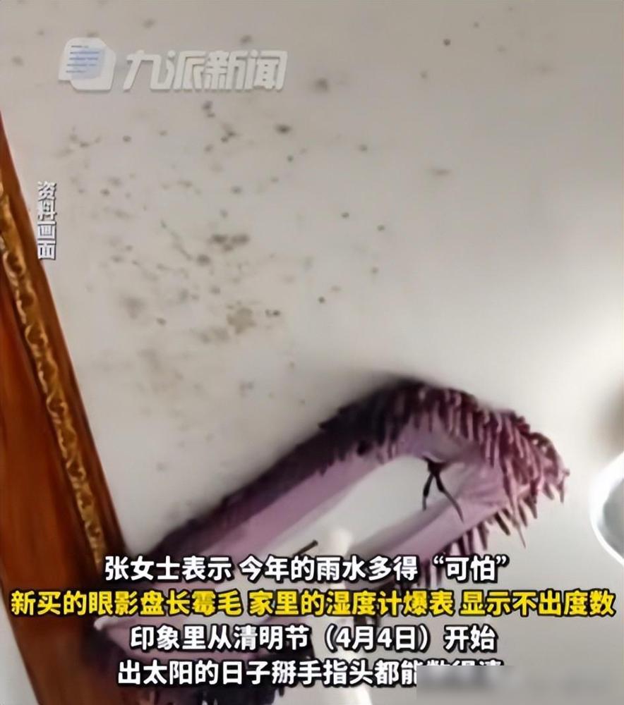 连广州大剧院都发霉了，59天仅7天没下雨，终于理解广东人审美了