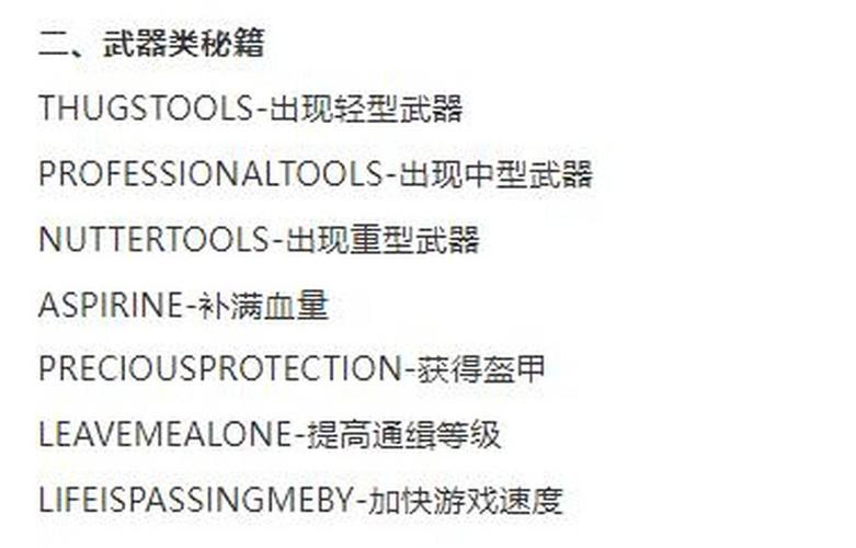 侠盗猎车手4秘籍是什么?
