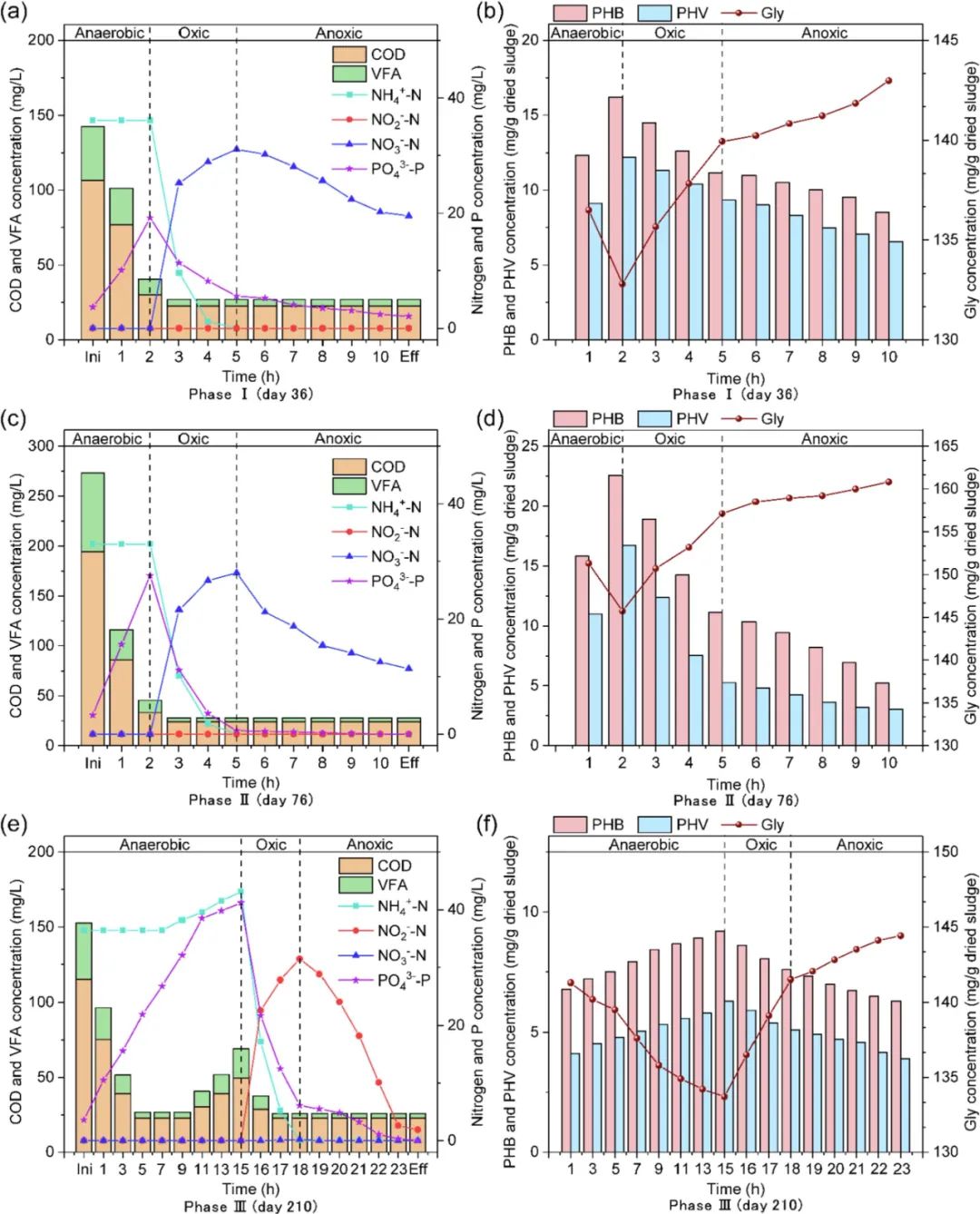 连续流系统中实现部分硝化、增强生物除磷和原位发酵（PNPRF）及其转录水平的机制分析