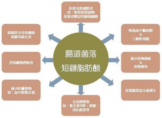 功能微生物的相互作用及其对甲烷生物转化为短链脂肪酸的贡献