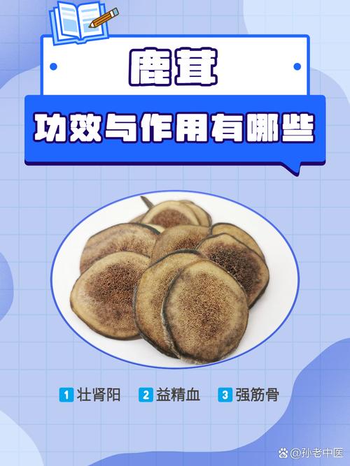 鹿茸可壮骨益肝，胃胀时别吃