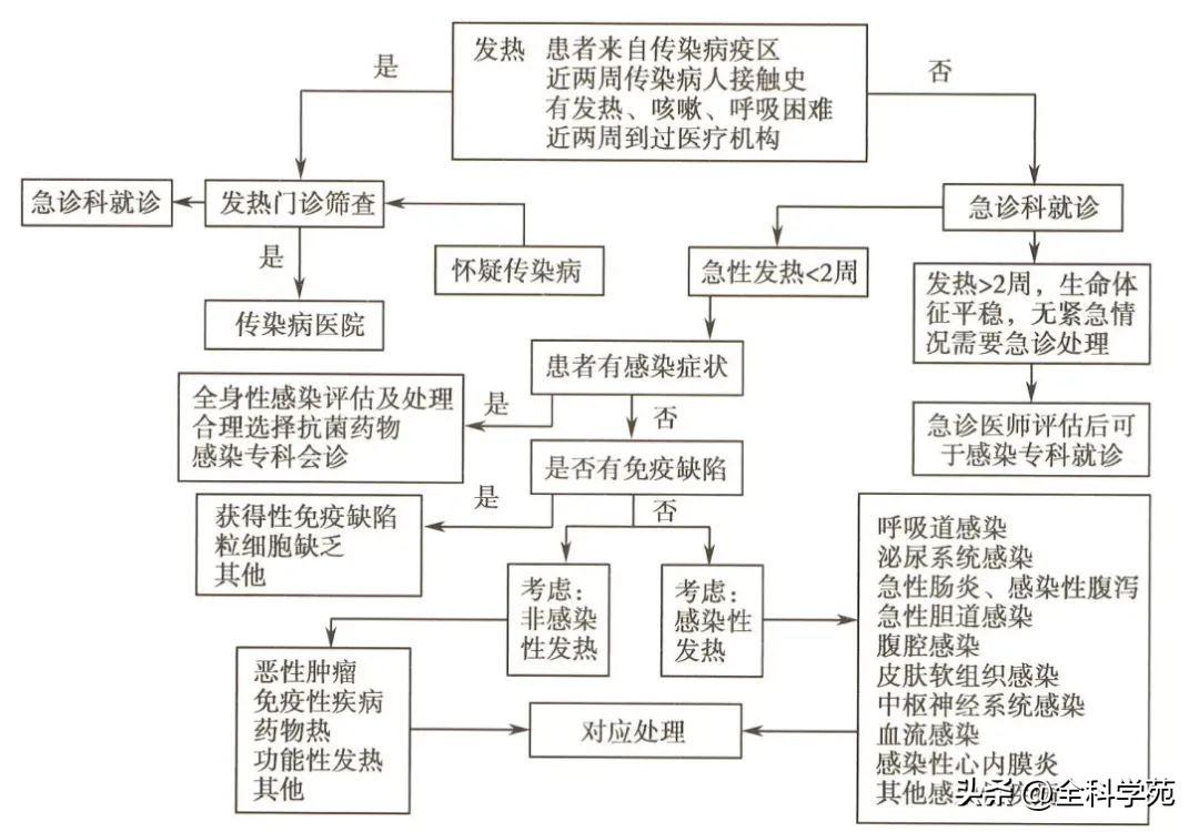 急诊常见症状：发热（PBL+知识点）