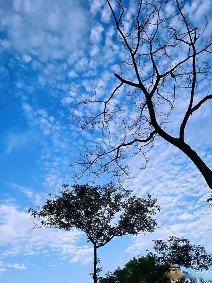 朝霞和晚霞的对话