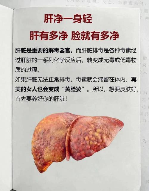 肝脏有毒素的四大表现