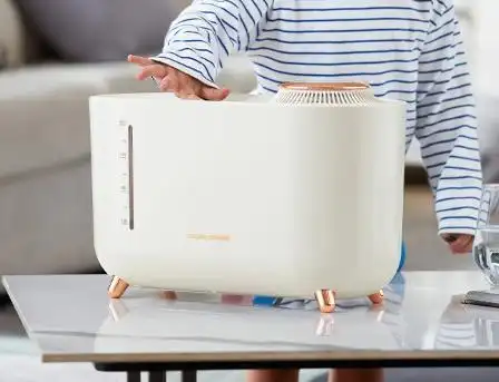 加湿器怎么选？安利种草：揭晓哪个品牌适合你！