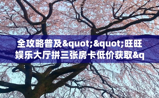 全攻略普及""旺旺娱乐大厅拼三张房卡低价获取""100张多少钱"房卡充值教程