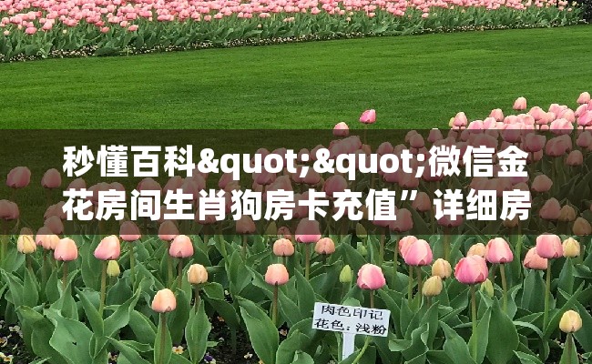 秒懂百科""微信金花房间生肖狗房卡充值”详细房卡教程