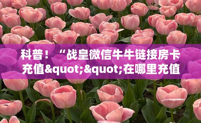 科普！“战皇微信牛牛链接房卡充值""在哪里充值/房卡100张多少钱