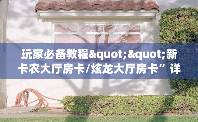 玩家必备教程""新卡农大厅房卡/炫龙大厅房卡”详细房卡教程