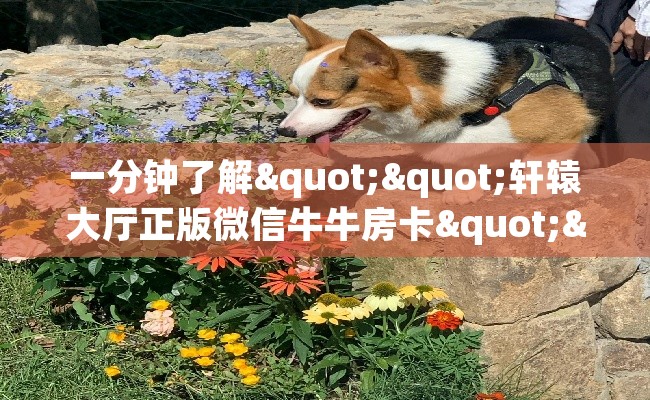 一分钟了解""轩辕大厅正版微信牛牛房卡""怎么购买房卡‘获取大厅链接！！