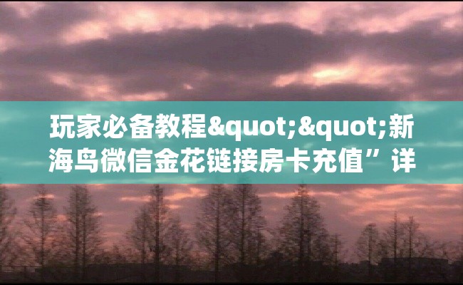 玩家必备教程""新海鸟微信金花链接房卡充值”详细房卡教程