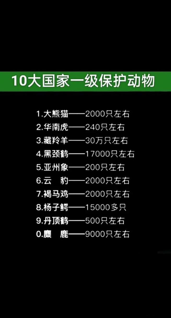 最全！中国国家重点保护野生动物名录，了解一下