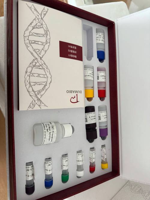 凯普生物一款HPV核酸分型检测试剂盒获批上市