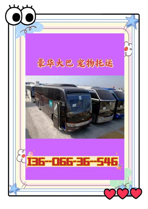 宁波到龙岗直达汽车专线