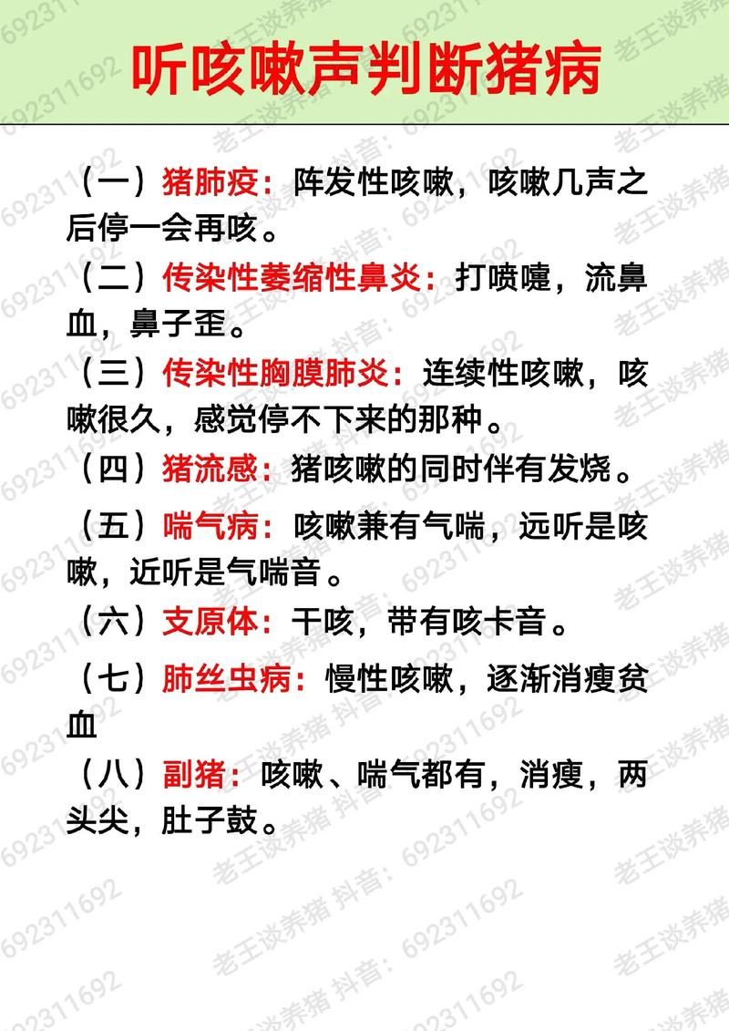 中兽医土方良方防治猪病，猪气喘病