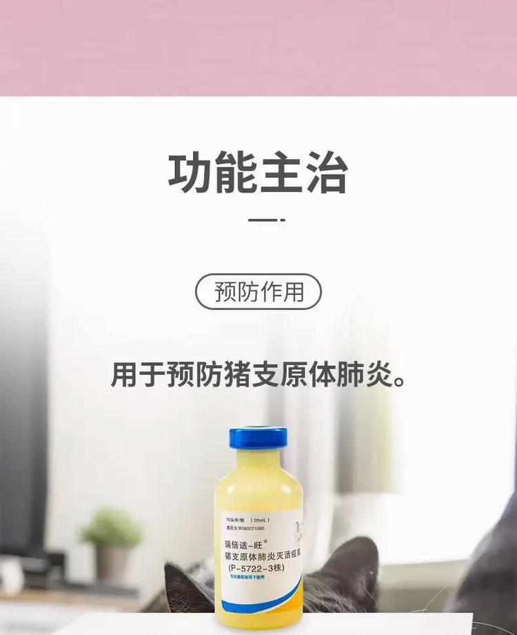 猪气喘病用什么药治疗最好？猪气喘病症状及治疗方法，快来收藏！