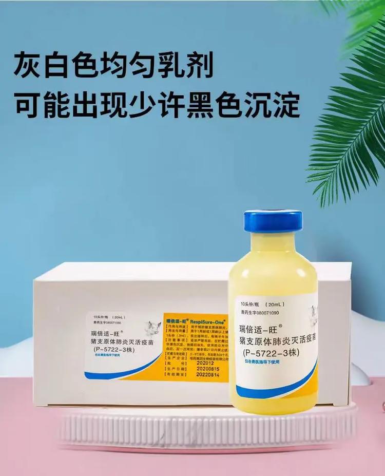 猪气喘病用什么药治疗最好？猪气喘病症状及治疗方法，快来收藏！