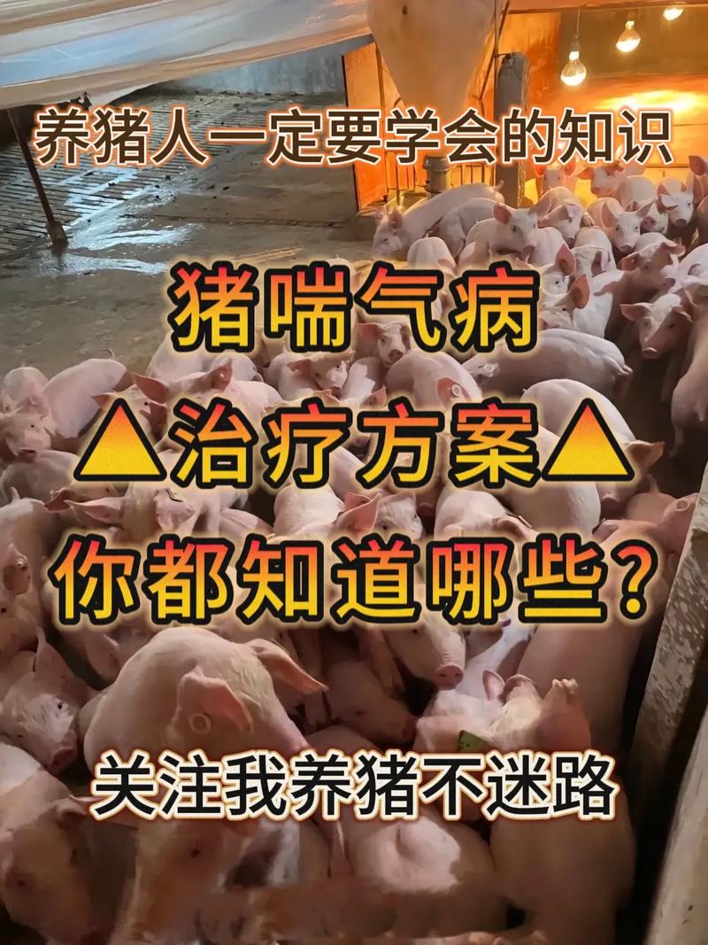 《12316三农热线》猪出现咳嗽和气喘，吃食还可以，不上膘，请问是什么病？