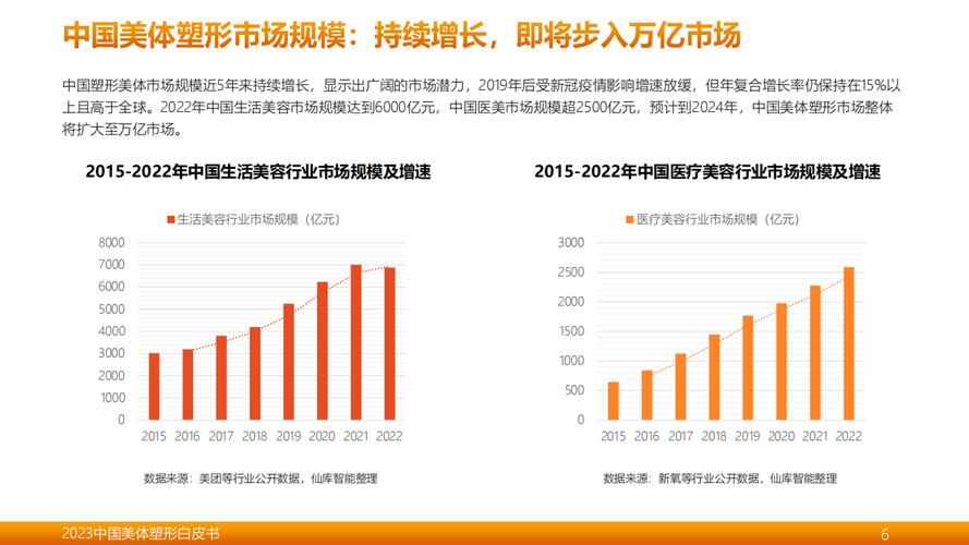 中国整形美容市场投资分析及前景预测报告