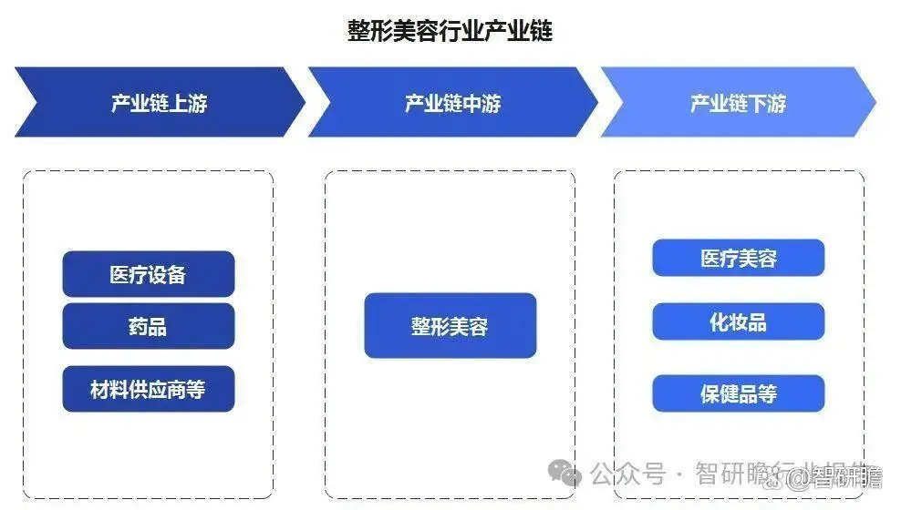 中国整形美容市场投资分析及前景预测报告