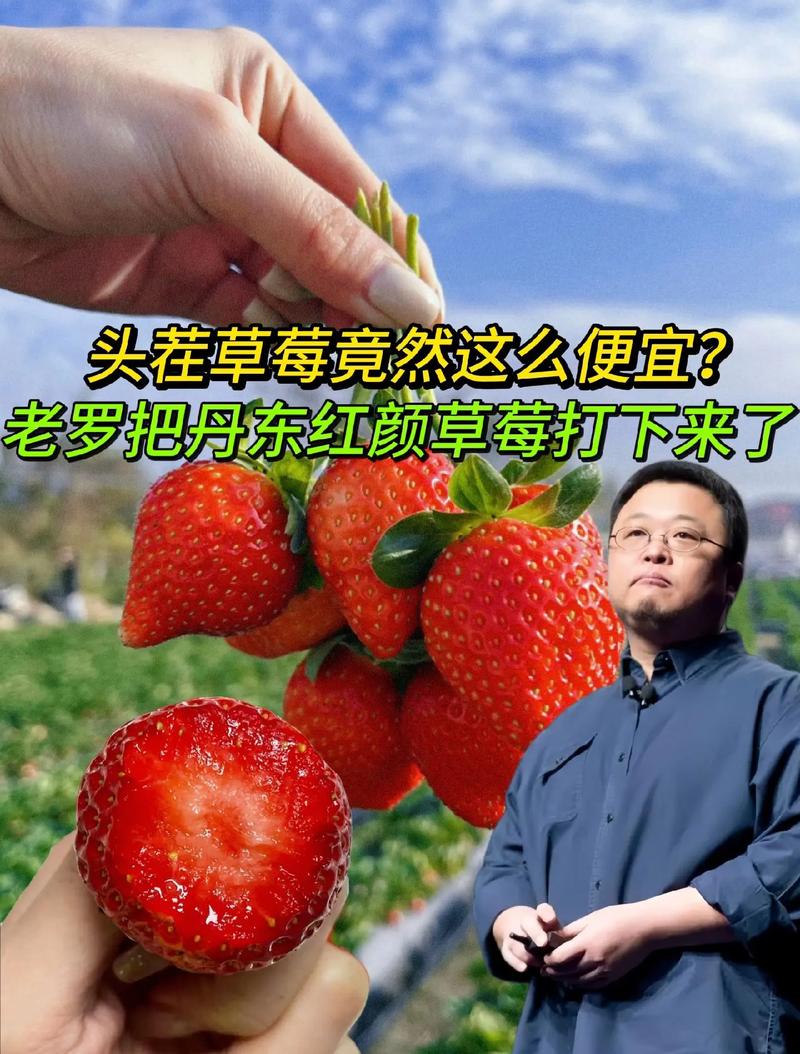 “冬天的第一颗草莓”你吃了吗？最新市场价格→