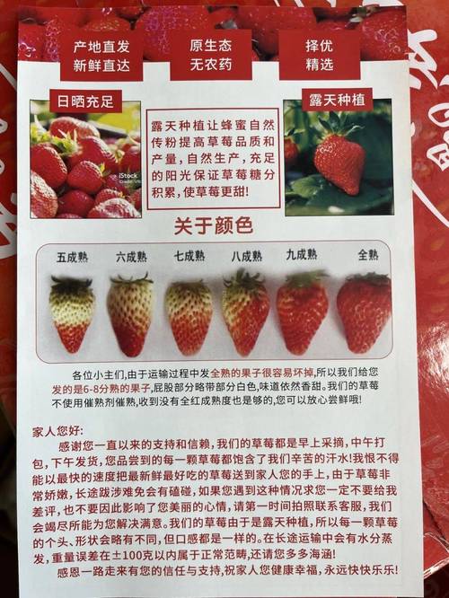 “冬天的第一颗草莓”你吃了吗？最新市场价格→