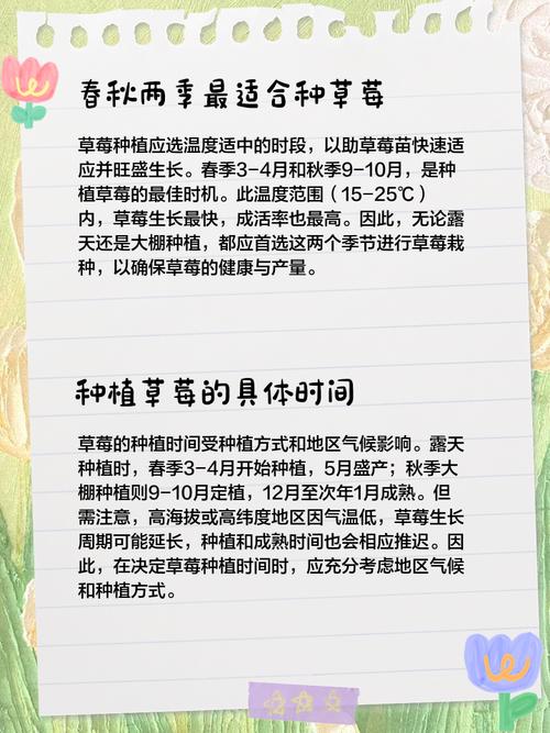 草莓是什么月份种植最合适,种植当年能吃上草莓吗?